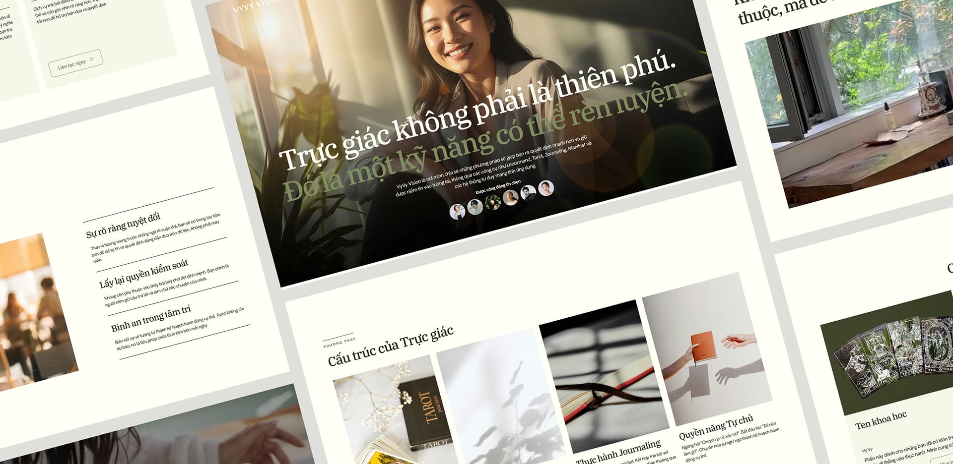 onception de site internet performant et responsive pour le projet Vyvy Vision